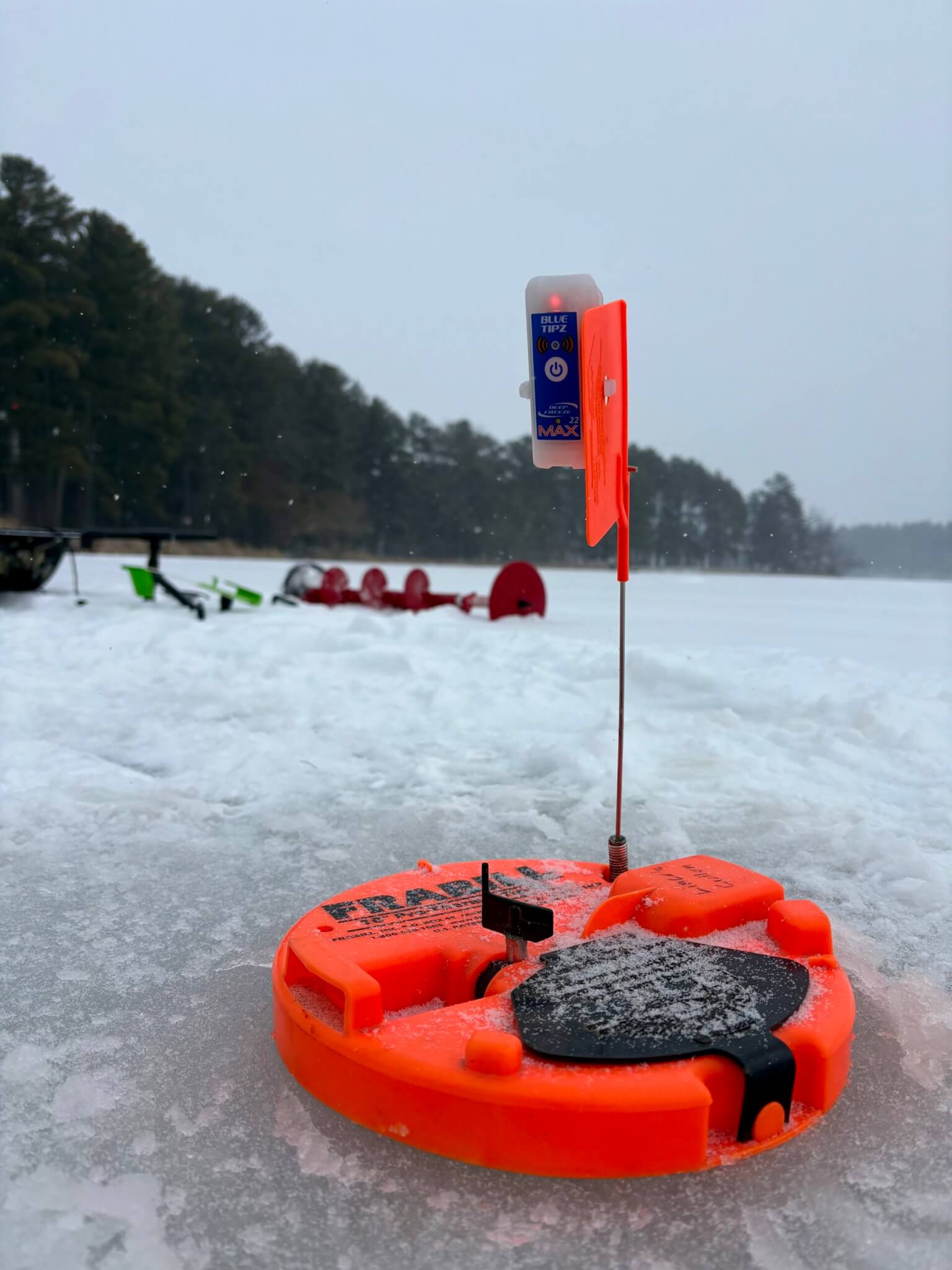 Bulk BlueTipz | Deep Freeze Fishing