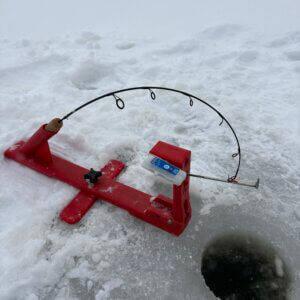 BlueTipz | Product categories | Deep Freeze Fishing