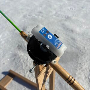 Bulk BlueTipz | Deep Freeze Fishing